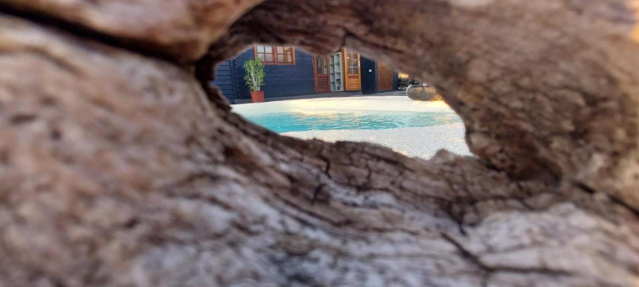 Villa Los Guirres Tazacorte Dış mekan fotoğraf